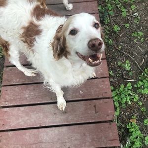 Meet your Posher, Libby